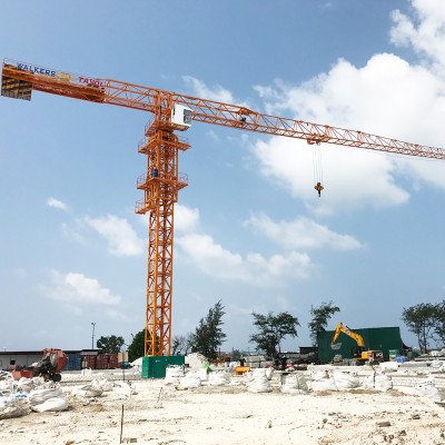 Model 5510 with 6 ton 55 m Boom Length Construction Topless Tower Crane